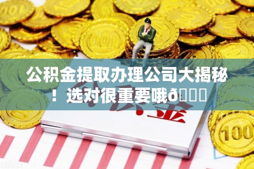 洛江公积金提取办理公司大揭秘！选对很重要哦😎